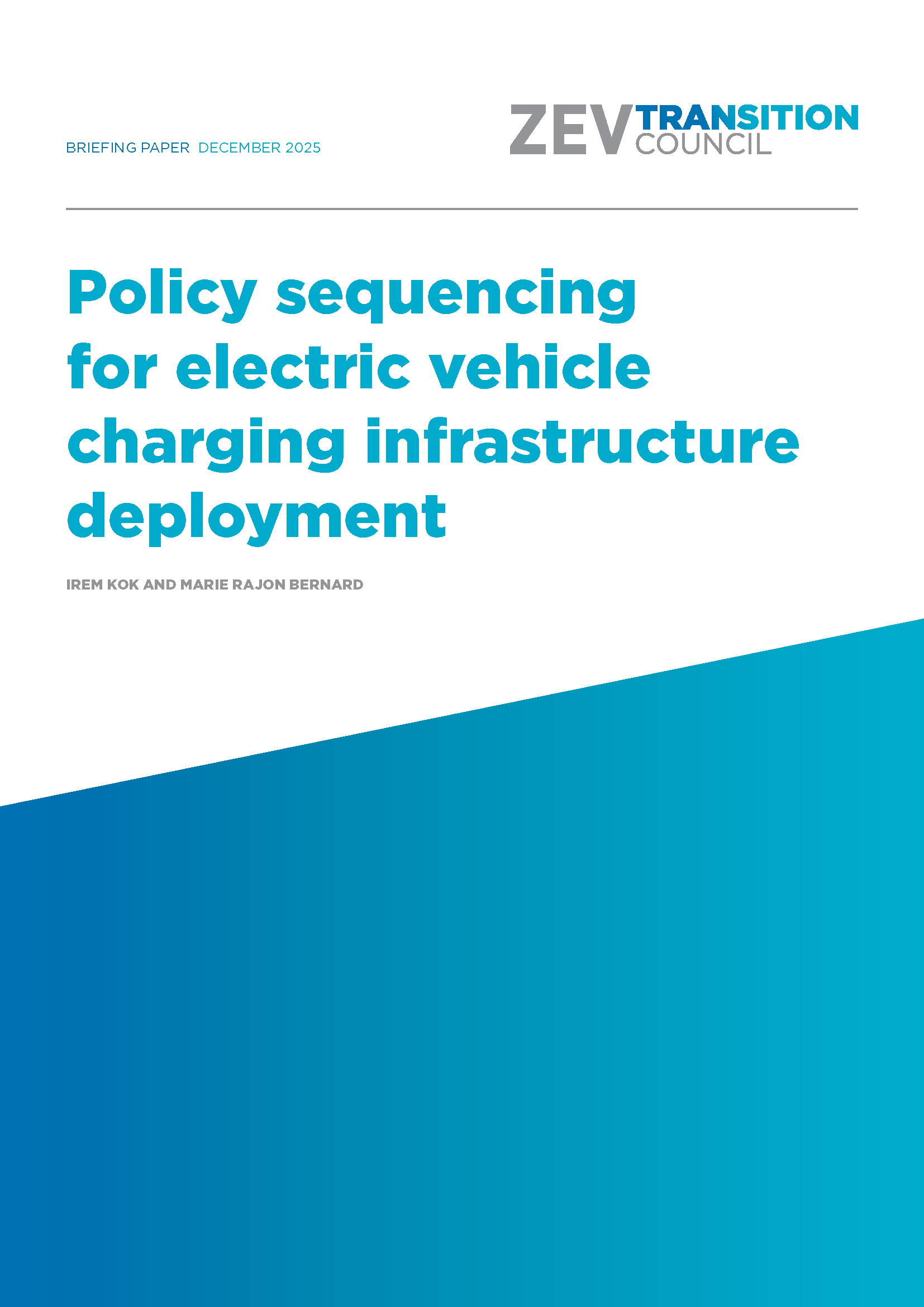 电动汽车充电基础设施布局的政策排序策略